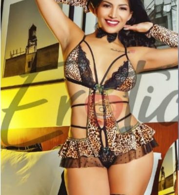 Traje Lenceria Erotica Tigresa